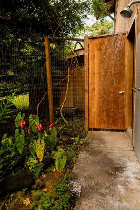 Jungle Haven Ocean Front Eco Villa On Fruit Farm Pahoa מראה חיצוני תמונה