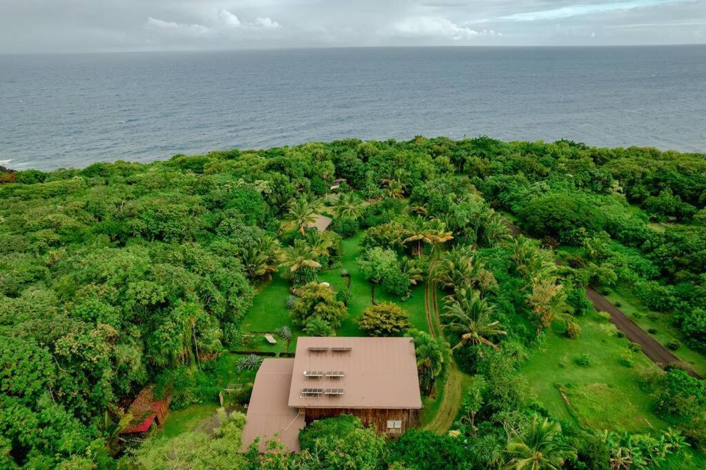Jungle Haven Ocean Front Eco Villa On Fruit Farm Pahoa מראה חיצוני תמונה