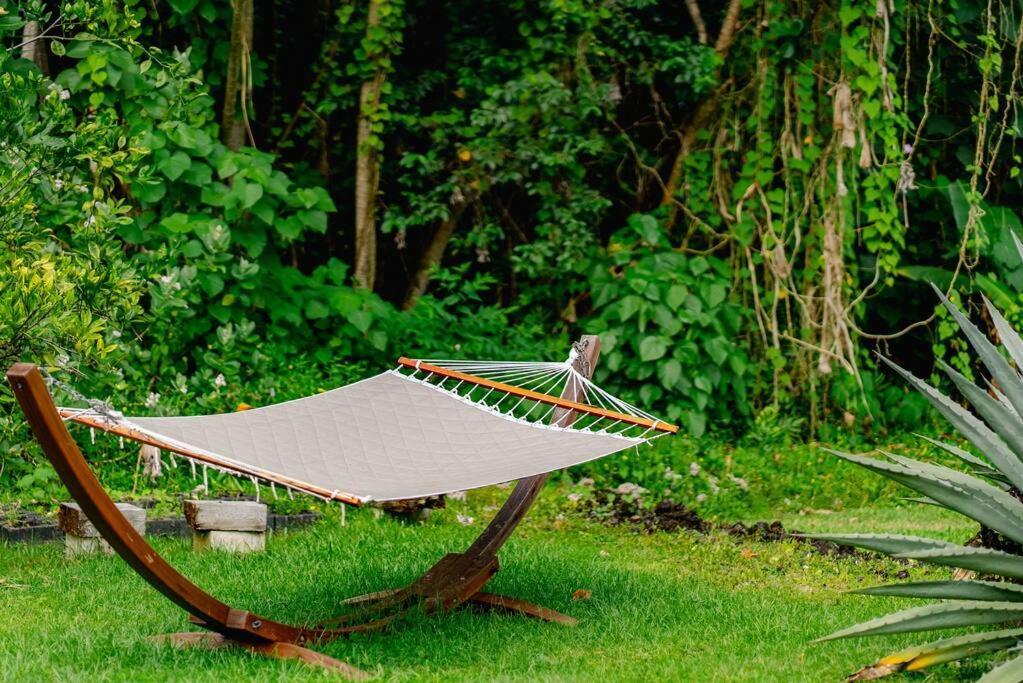Jungle Haven Ocean Front Eco Villa On Fruit Farm Pahoa מראה חיצוני תמונה