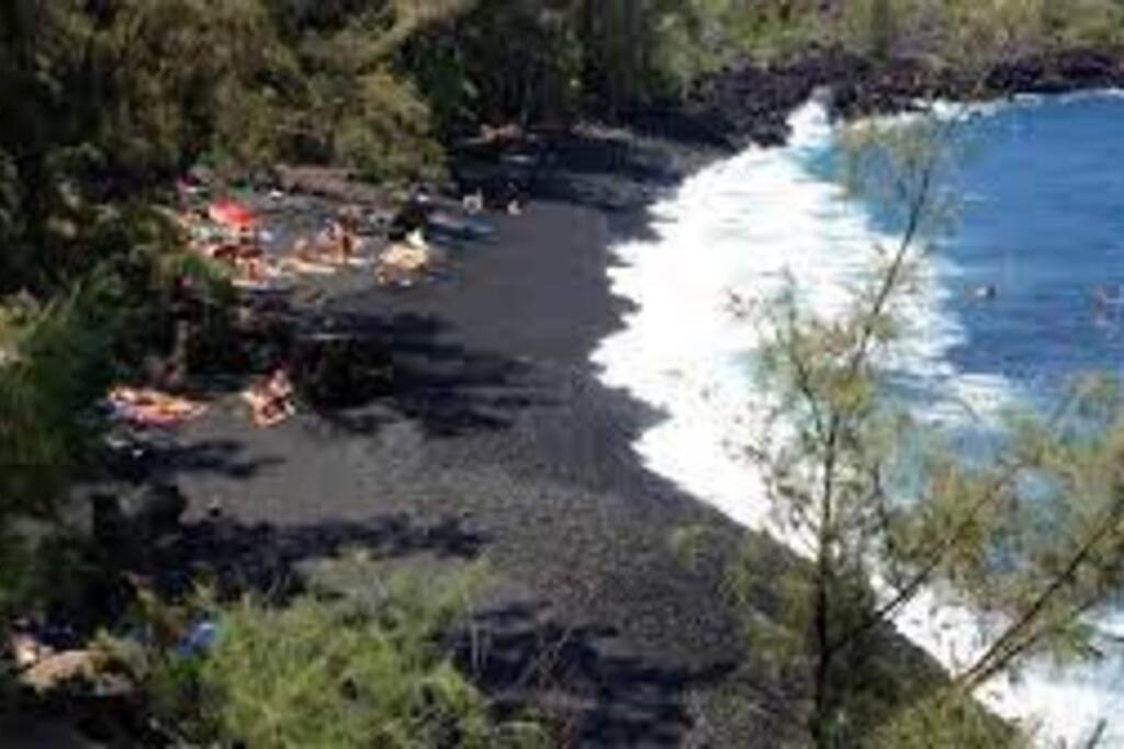 Jungle Haven Ocean Front Eco Villa On Fruit Farm Pahoa מראה חיצוני תמונה