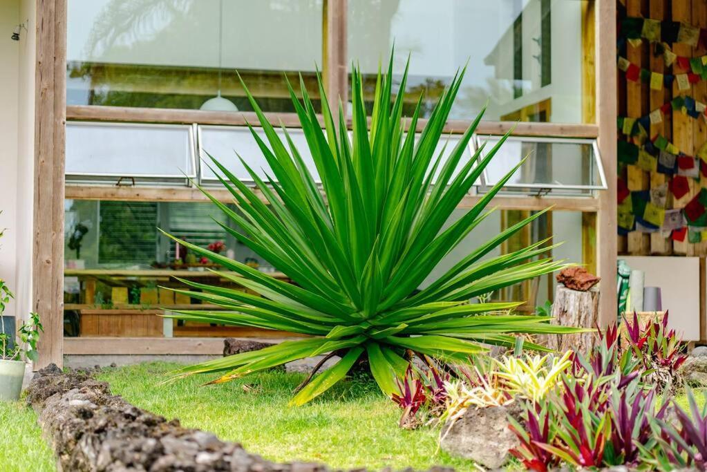 Jungle Haven Ocean Front Eco Villa On Fruit Farm Pahoa מראה חיצוני תמונה