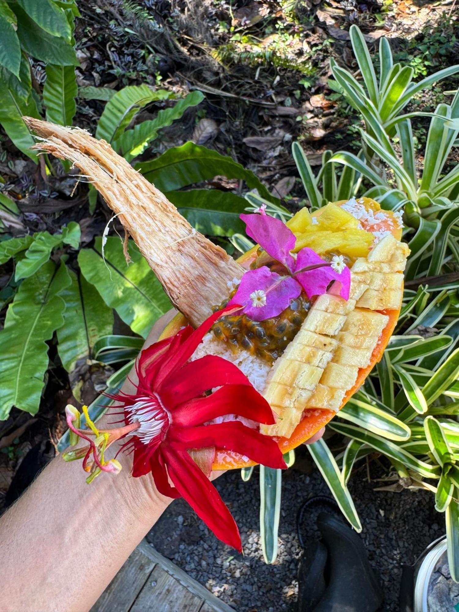 Jungle Haven Ocean Front Eco Villa On Fruit Farm Pahoa מראה חיצוני תמונה