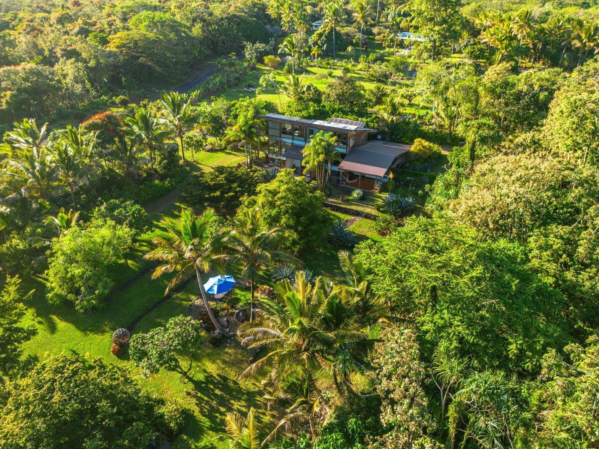 Jungle Haven Ocean Front Eco Villa On Fruit Farm Pahoa מראה חיצוני תמונה