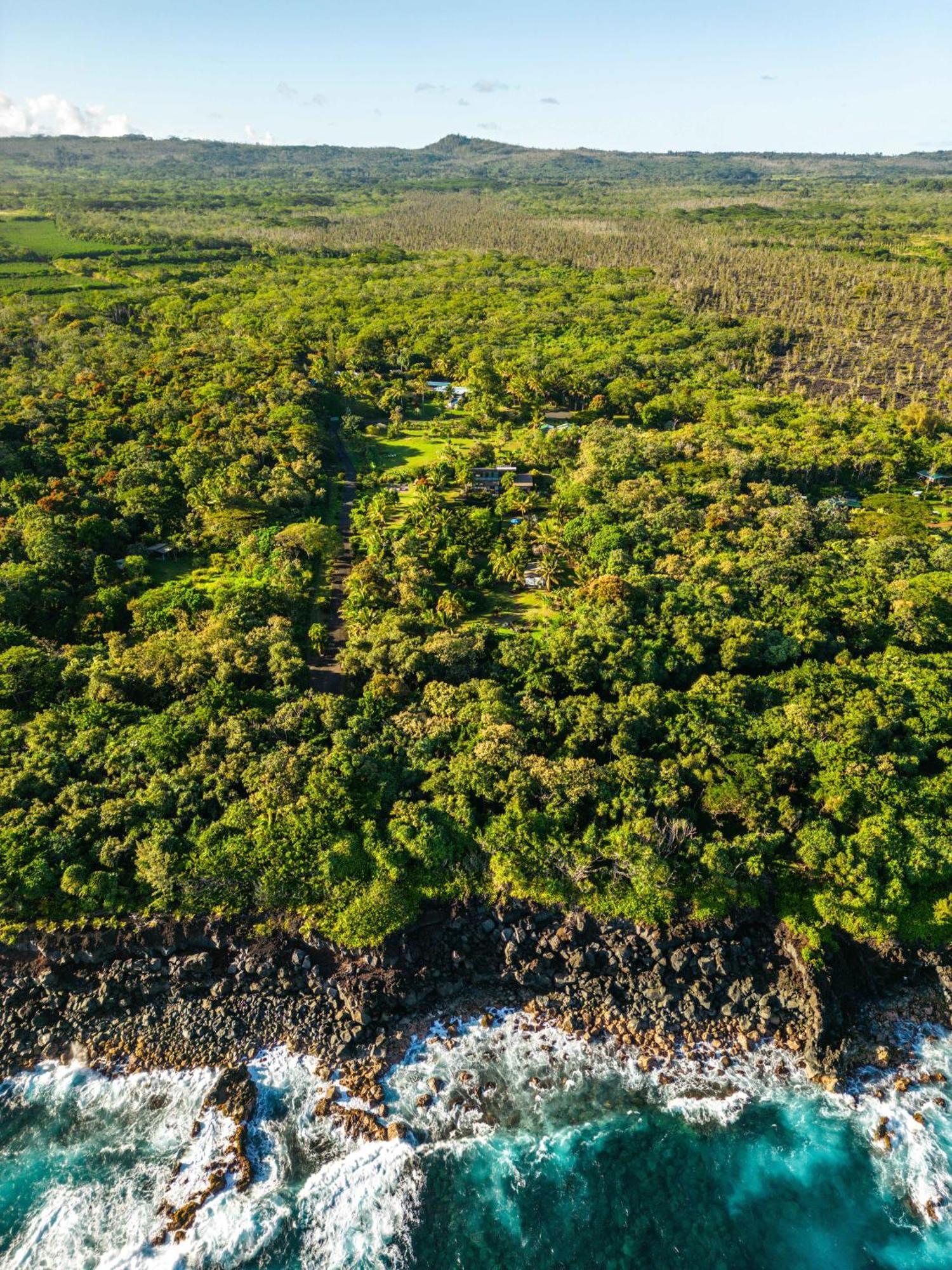 Jungle Haven Ocean Front Eco Villa On Fruit Farm Pahoa מראה חיצוני תמונה