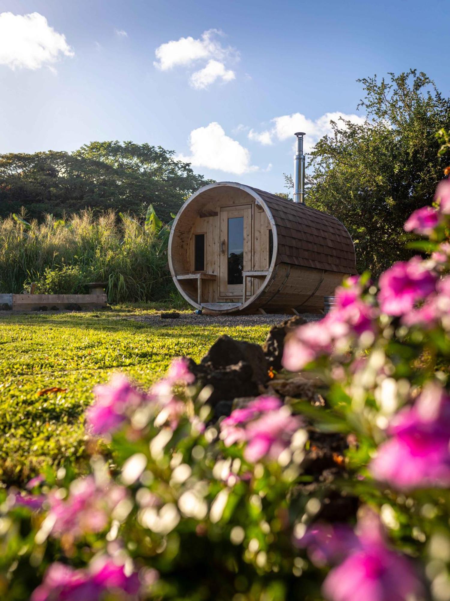 Jungle Haven Ocean Front Eco Villa On Fruit Farm Pahoa מראה חיצוני תמונה