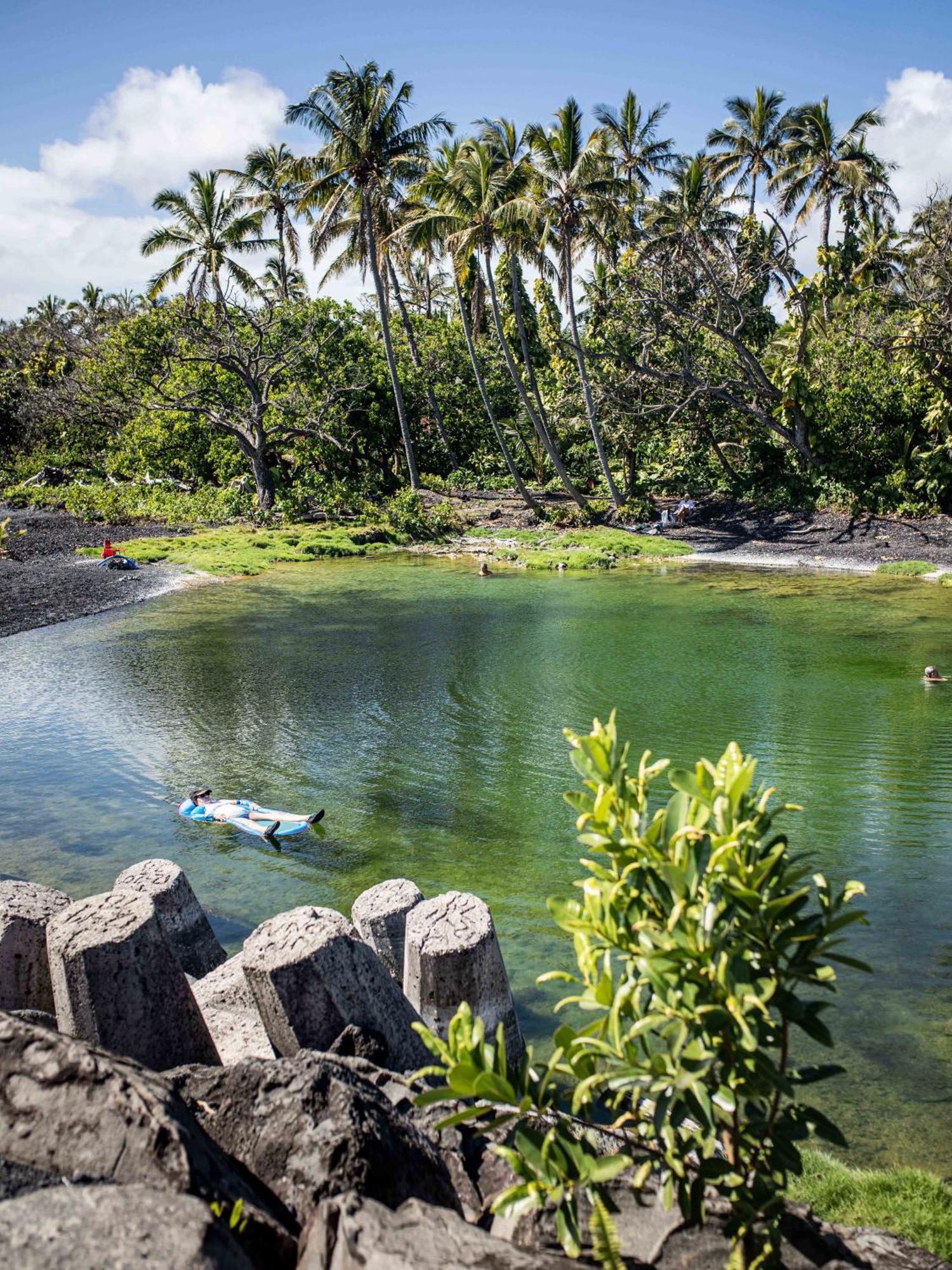 Jungle Haven Ocean Front Eco Villa On Fruit Farm Pahoa מראה חיצוני תמונה