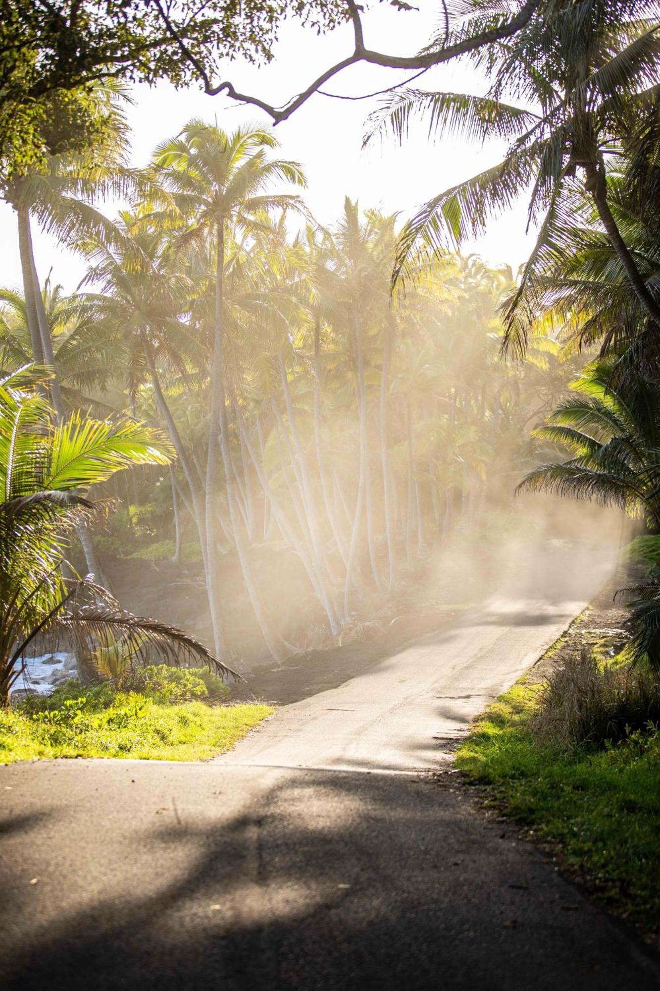 Jungle Haven Ocean Front Eco Villa On Fruit Farm Pahoa מראה חיצוני תמונה